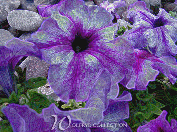 homage to nature