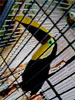Behind Bars
