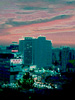 Hollywood Sunset