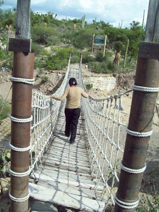 the crossing