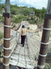 the crossing