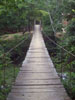 the new bridge