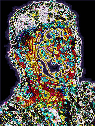 3b