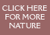 More Nature Images