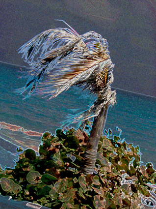 The Shifting Wind
